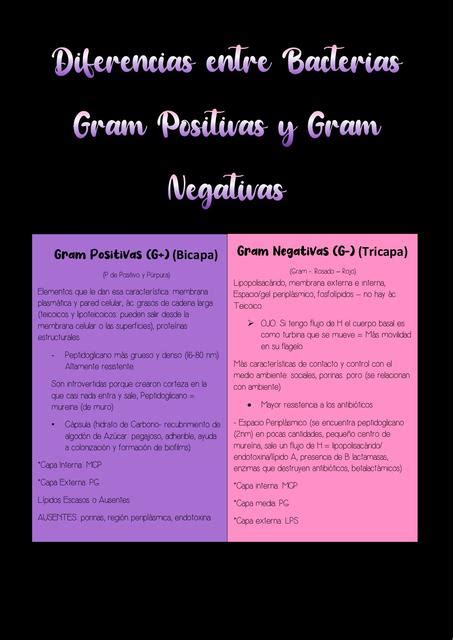 Cuadros Comparativos Entre Bacterias Gram Positivas Y Gram Negativas Porn Sex Picture