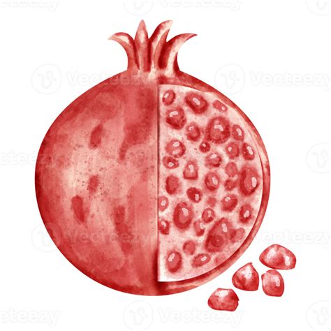 Watercolor Pomegranate Fruit 23324349 PNG