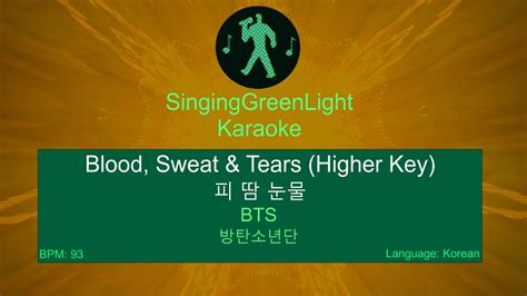 BTS Blood Sweat Tears Female Key Karaoke 방탄소년단 피 땀 눈물 듀엣