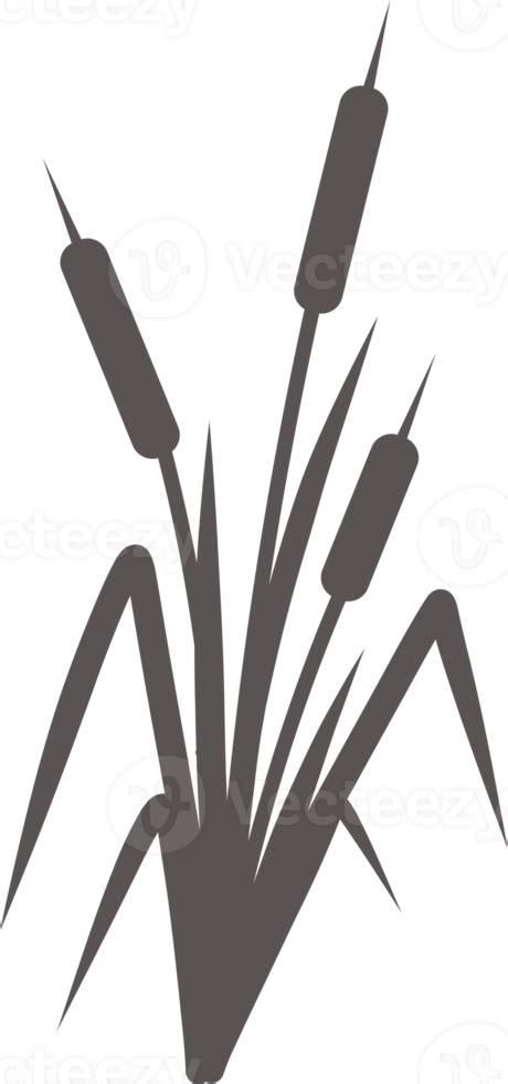 Silhouette Of A Reed In The Grass Swamp And River Plants Cattail Flat Illustration 22926940 Png