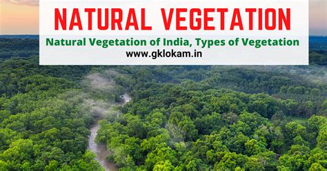 Natural Vegetation| Natural Vegetation of India| Types of natural ...