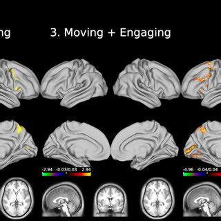 Group Level Activation Maps Surface Data Of The Five Contrasts All