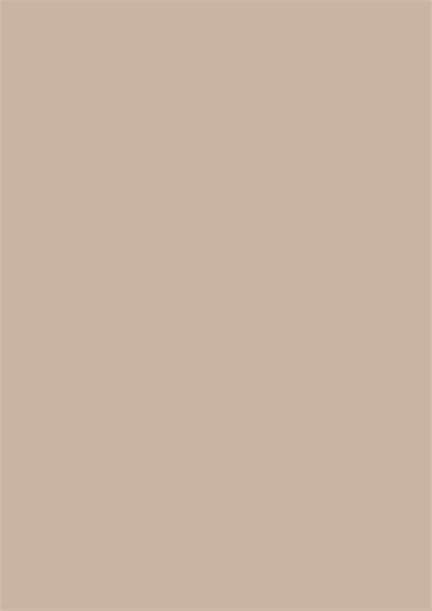 Farrow Ball Roasted Macadamia CB2 Paint Paper Nl