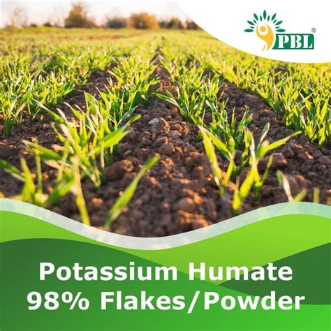 Potassium Humate Fertilizer Cultivating Excellence In Plant Care