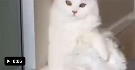 Hot 9GAG