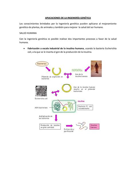 Aplicaciones De La Ingenieria Genetica Aplicaciones De La IngenierÕa Gen Los Conocimientos