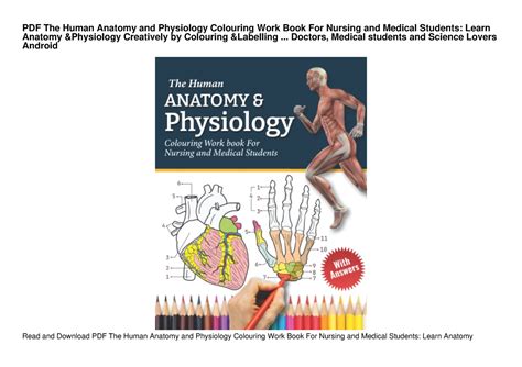 Pdf The Human Anatomy And Physiology Colouring Work Book For Nursing