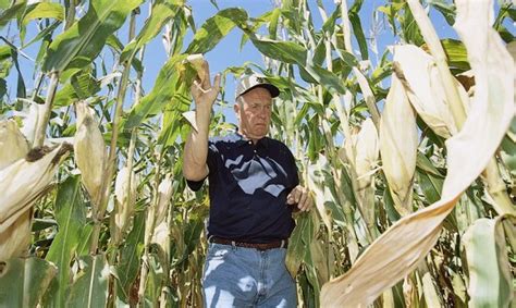 El IICA busca fortalecer el financiamiento y seguros agrícolas en América Latina El Productor