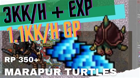 RP 350 Marapur Turtles 3KK H 150 EXP And 1KK H 1 2KK PROFIT RAW