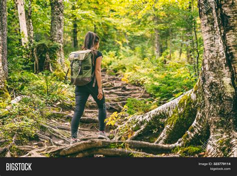 Forest Hike Trail Image & Photo (Free Trial) | Bigstock