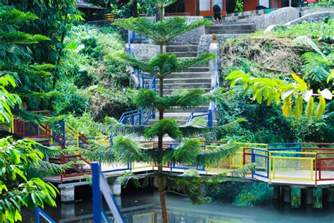 Menikmati Keindahan Danau Biru Wisata Tersembunyi Di Kawasan Hutan