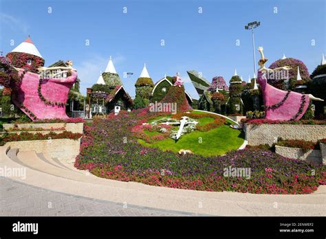 Floral Clock At Dubai Miracle Garden A Flower Garden Located In