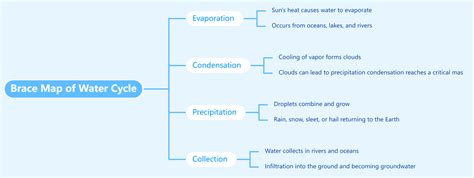 mind map template brace map  water cycle