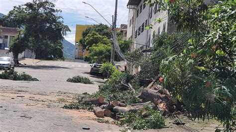 Após chuva e ventania bombeiros registram 40 ocorrências de queda de