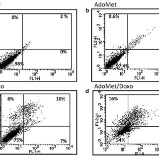 Apoptotic Effects Of AdoMet And Doxo Combination On Human Breast Cancer