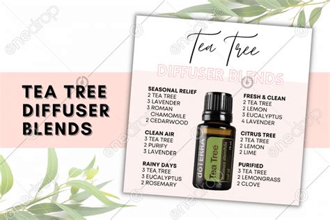 dōTERRA Tea Tree DIFFUSER BLENDS by Natali Pineda