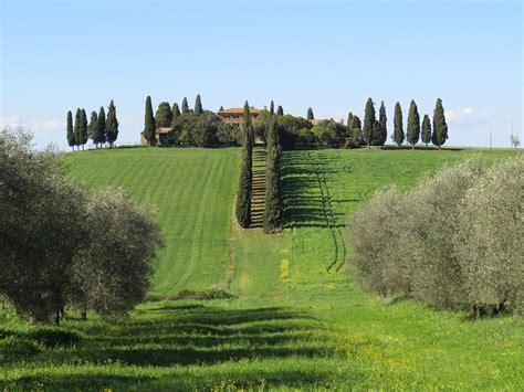 Tours Around Tuscany - All You Need to Know BEFORE You Go (2024)