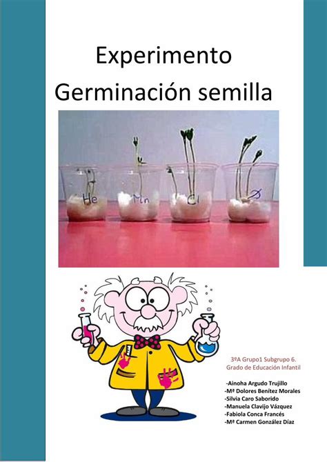 PDF Experimento Germinación semillafiles las chicas del oro webnode