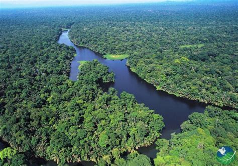 Tortuguero Day Trip Tortuguero National Park Tortuguero Day Tour