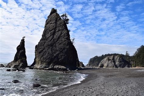 9 Best National Park Tours In Port Angeles PT