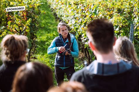 Gefälschte Sex Videos von Prinzessin Amalia aufgetaucht Nau ch