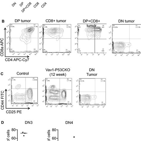 T Cell Tumors From Vav1 P53cko Mice Derive From Thymic T Cell