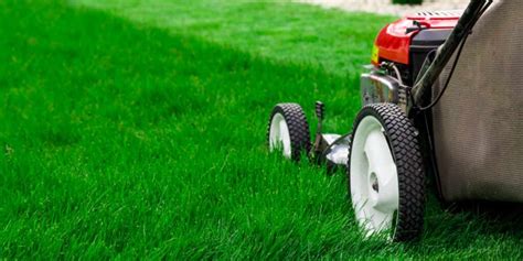 Know Your Products Limitations And Special Performance Abilities Lawn Care Lawn Maintenance