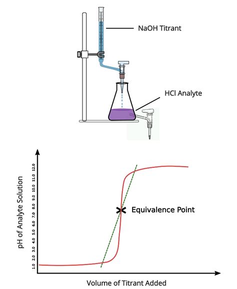 The Equivalence Point Acid Base Titrations Psiberg