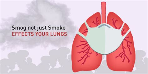 The Harmful Effects Of Smog On Your Lungs