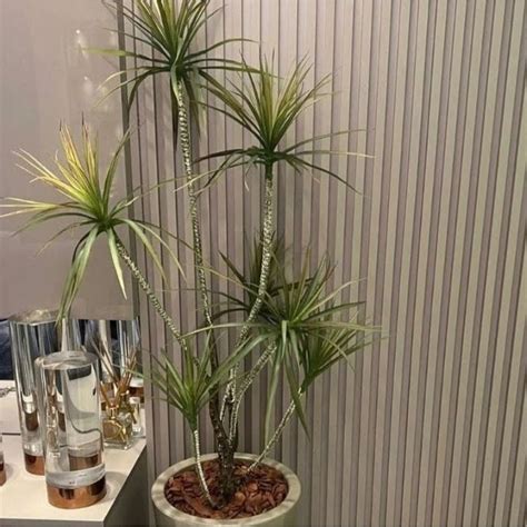 Planta Artificial Yucca Galhos Mt Sem O Vaso Shopee Brasil