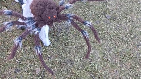 Spirit Halloween Tekky Design 2018 Brown Jumping Spider Youtube