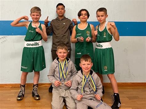 Sex Guld I Borås Hammarby Boxning