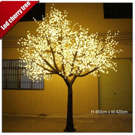 Cherry Blossom Tree Blossom Trees Cherry Tree Garden City Home And