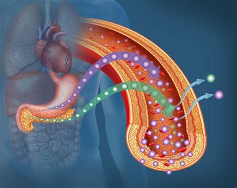 Triple Drug Combo Reduces HbA1c In T2D Latest News For Doctors