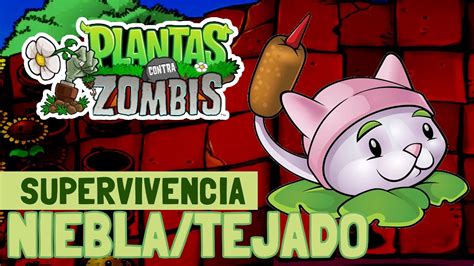 Plantas Contra Zombis Supervivencia Niebla Y Tejado Youtube