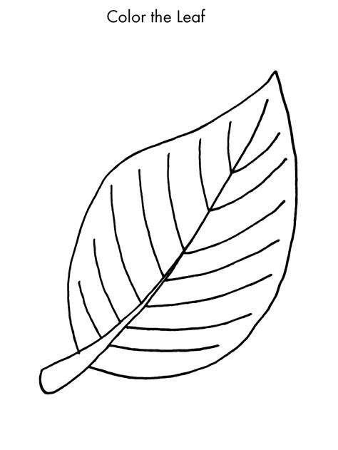 Leaf Coloring Pages – Printable Coloring Pages