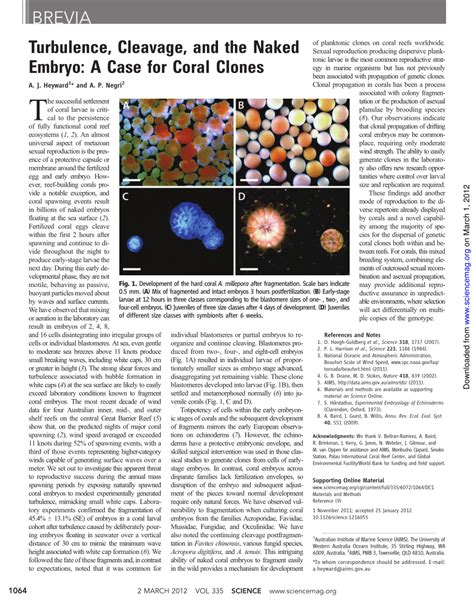 PDF Turbulence Cleavage And The Naked Embryo A Case For Coral Clones