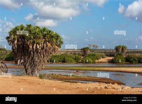 Tsavo River, Tsavo East National Park, Kenya Stock Photo - Alamy