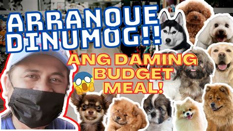 Arranque Petshop Price Update Budget Meal Puppies Youtube