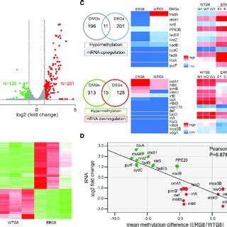 Association Analysis Of Aberrant Methylation With Gene Expression A