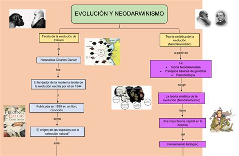 Cuadro Comparativo De Evolucionismo Y El Creacionismo Filosofia The