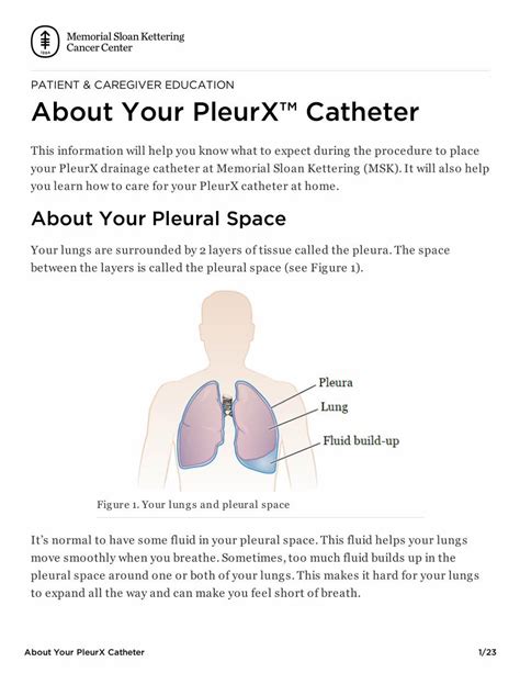 Pdf Patient And Caregiver Education About Your Pleurx™ Catheter