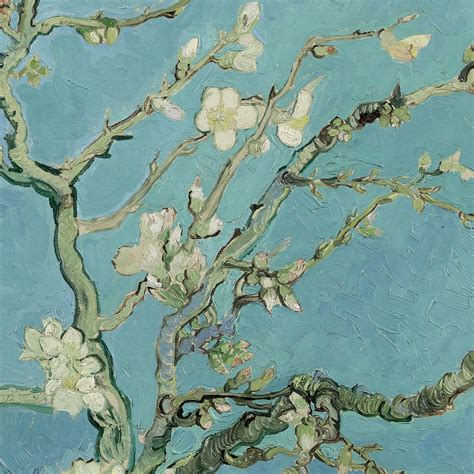 Van Gogh Almond Tree High Resolution