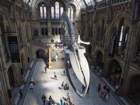 Hintze Hall At The Natural History Museum In London Editorial Photo