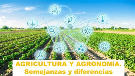 Cu L Es La Diferencia Entre Agropecuaria Y Agraria Diferencia Entre