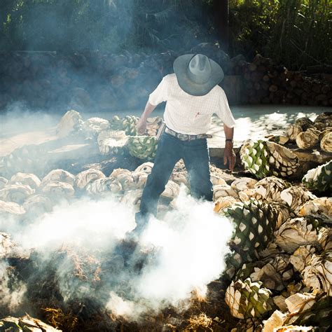 What Exactly is the Difference Between Mezcal and Tequila? - AFAR