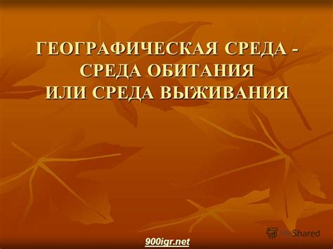 Презентация на тему: "ГЕОГРАФИЧЕСКАЯ СРЕДА - СРЕДА ОБИТАНИЯ ИЛИ СРЕДА ...
