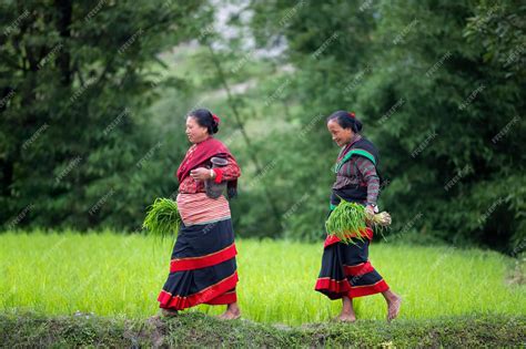 Premium Photo | Nepalese farmers and agriculture land
