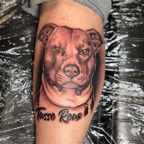 Amazing Pit Bull Tattoo Ideas You Will Love Outsons Men S