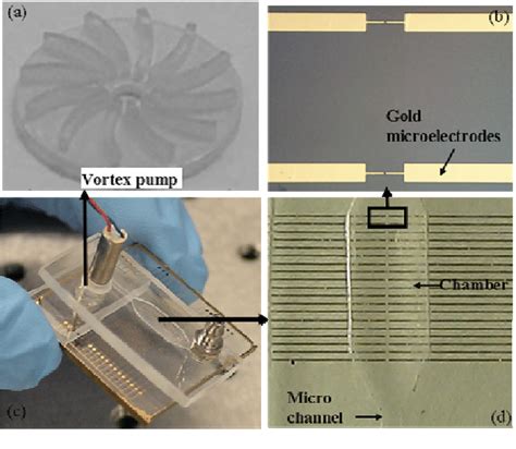 SEM image of MWNT bundles 5μm in length between Au microelectrode